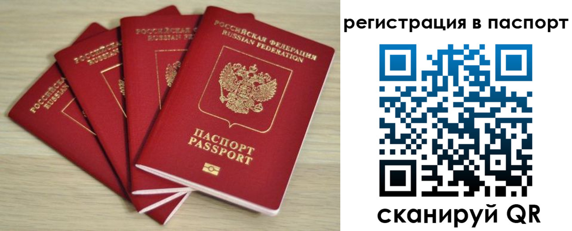 временная регистрация для школы в Ковдоре